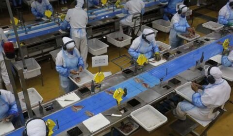 img20201117115036207-768x512