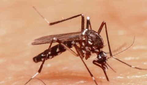 pacientes-internados-contraem-