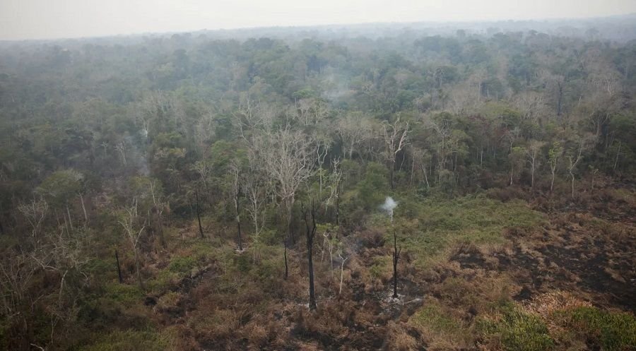 tagreuters-com2024binary_lynxmpek4j0n2-filedimage