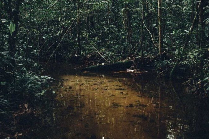 1_forest_close_to_water_table-38249342