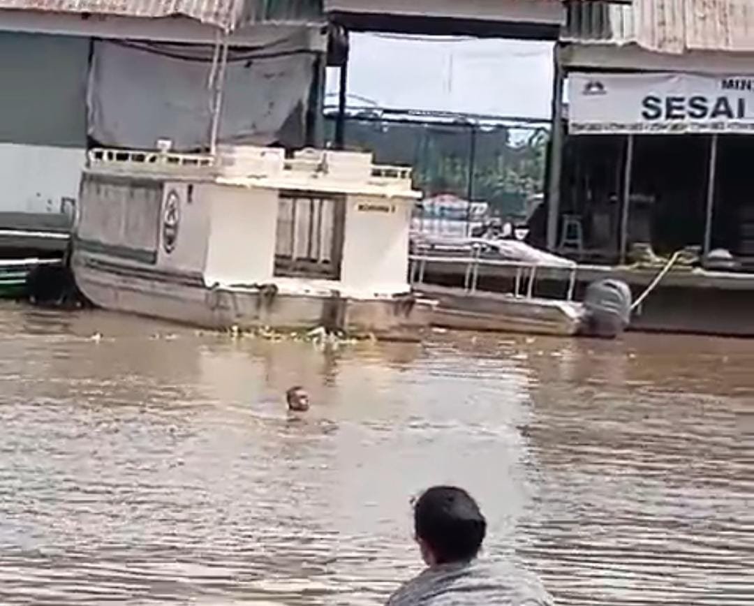 1c61f4f2-0331-46ab-a702-b49ff774f576