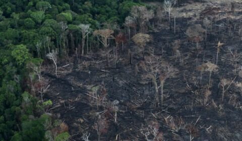 an-aerial-view-of-a-tract-of-amazon-jungle-after-it-was-cleared-by-farmers-in-itaituba