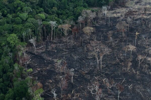 an-aerial-view-of-a-tract-of-amazon-jungle-after-it-was-cleared-by-farmers-in-itaituba
