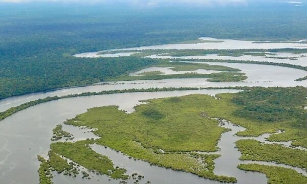 20231004_00_floresta_amazonica_amazonia