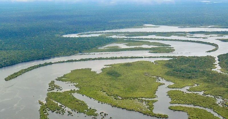 20231004_00_floresta_amazonica_amazonia