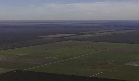 20240501_barreiras_bahia_brasil_sos_mata_atlantica_thomas_bauer-1