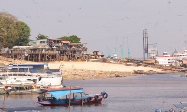 seca_foto-ronaldo-siqueiraespecial-para-o-bnc-amazonas