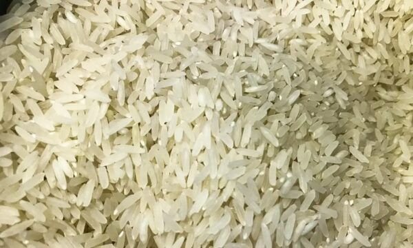 arroz_1009201525-1