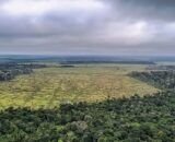 desmatamentoamazonia-1
