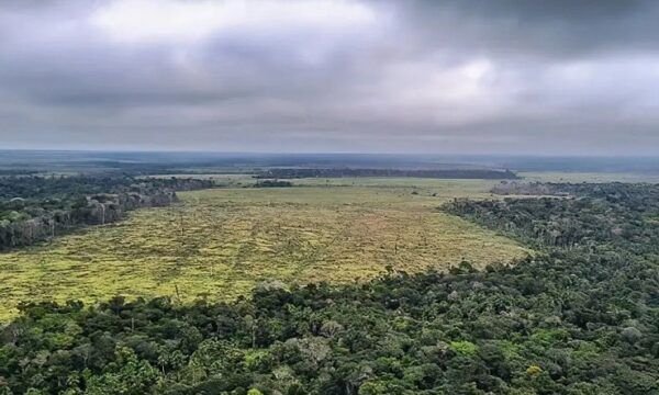 desmatamentoamazonia-1