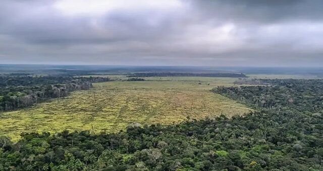 desmatamentoamazonia-1