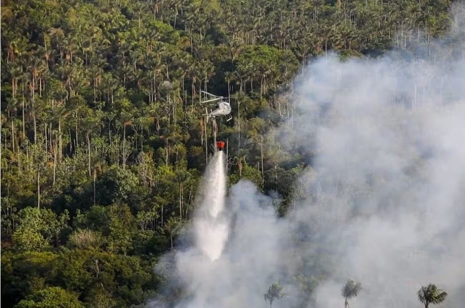 e8bb5445-cf56-4b03-91e5-9a78b9b7e812