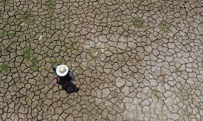 2023-10-21t214643z_1806785229_rc2zw3avrijk_rtrmadp_3_brazil-amazon-drought