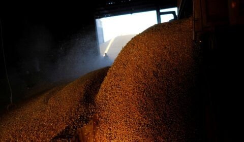 21282_074ca7dfaaf55670-4