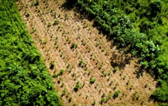 49240841771-66d573fc71-o