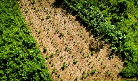 49240841771-66d573fc71-o