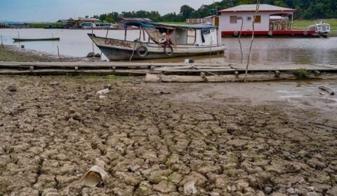 53345965383_f28c1848cc_k-1160x653