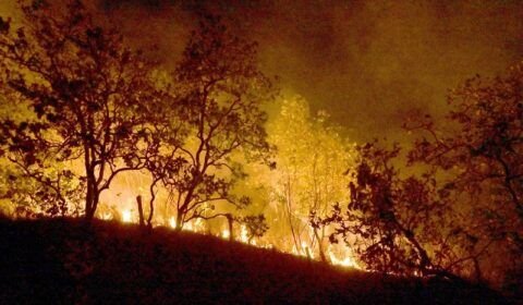 53543529360_dcce8a6f10_o