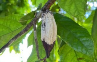 8f939588-0f0b-448a-aa8f-823ff96d1966