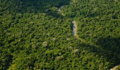 whatsapp-image-2024-07-19-at-05-33-47