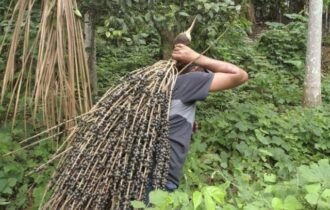 b2ap3_medium_dji_0610