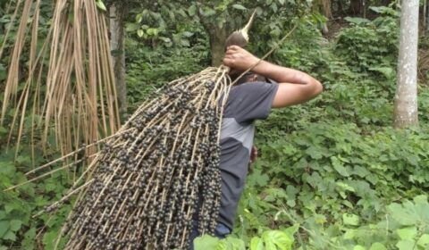 b2ap3_medium_dji_0610