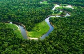 floresta-amazonica-1700228312563_v2_450x450