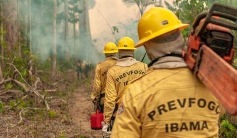 153914amazonas-registra-quase-3-mil-focos-de-queimadas-nos-primeiros-dez-dias-de-agosto-aponta-inpe-3