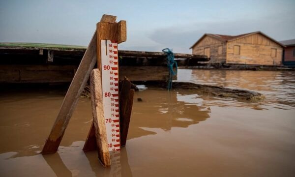 foto4_aquecimento-anormal-do-atlantico-agrava-seca-na-amazonia-e-traz-riscos-imprevisiveis