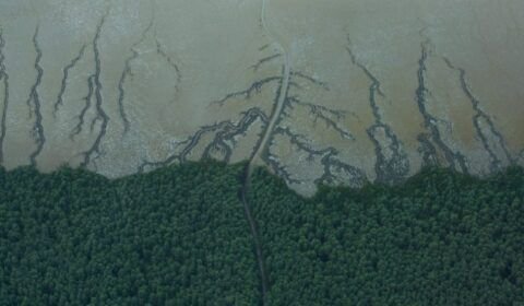 foz-do-amazonas-810x540