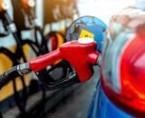 xrddafym-erbvy1431j5297781574043720528t24032221