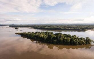 o-brasil-contraditorio-que-surge-em-pesquisa-sobre-amazonia-e-terras-indigenas