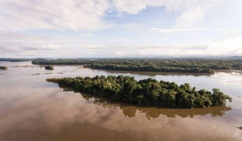o-brasil-contraditorio-que-surge-em-pesquisa-sobre-amazonia-e-terras-indigenas