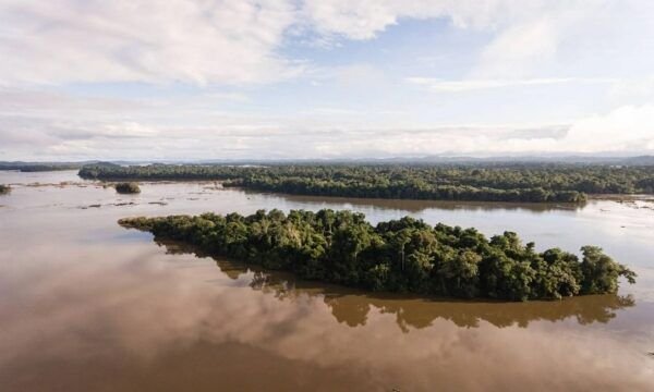 o-brasil-contraditorio-que-surge-em-pesquisa-sobre-amazonia-e-terras-indigenas