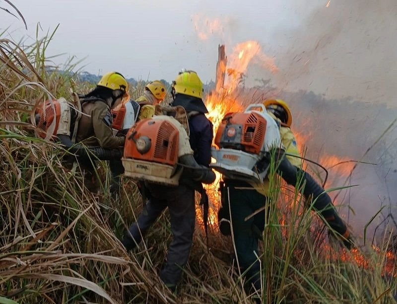 whatsapp-image-2024-08-12-at-22-04-37