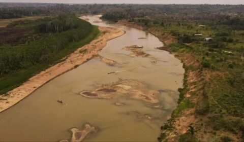 dia-da-amazonia-2024-810x456