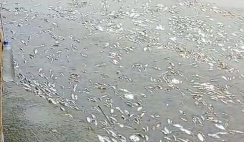 whatsapp-image-2024-09-06-at-14-25-18