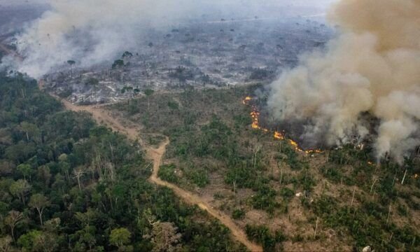 amazonas-queimadas-3-e1726219376412