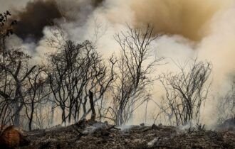 incendio-florestal-bsb2_mcamgo_abr_24082024-2_8