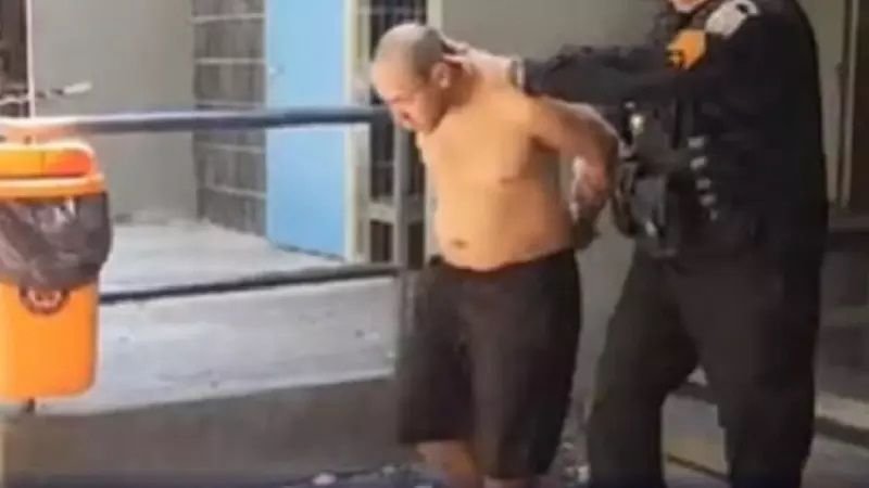 padrasto-rep-800x450