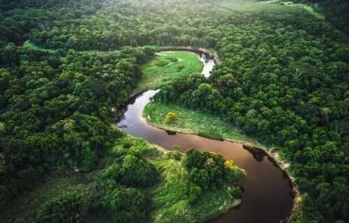 amazonia_cmyk-1
