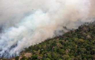 monitoring-of-deforestation-and-fires-in-the-amazonmonitoramento-de-desmatamento-e-fogo-na-amazonia-em-julho-de-2024