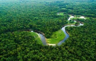 floresta-amazonica-1700228312563_v2_900x506