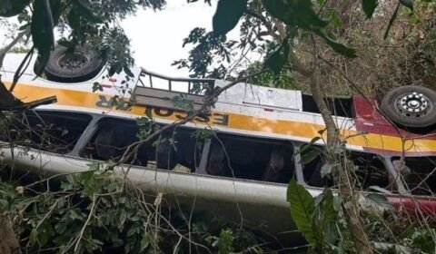 screenshot-8-1732539702