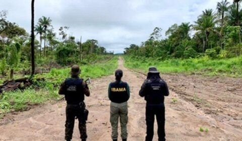 garimpo-ilegal-mpf-recomenda-a