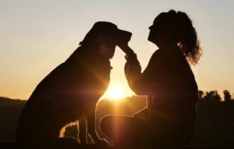 terapia-com-animais-auxilia-na