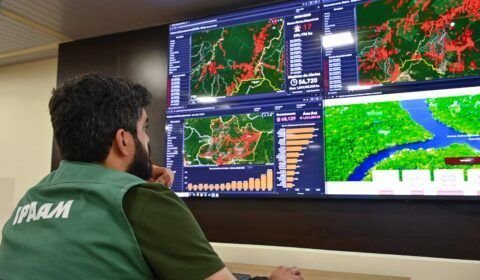 Ipaam registra queda de 16,65% no desmatamento e 72,72% nos focos de calor no Amazonas