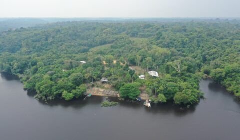 tce-am-lanca-pesquisa-para-ide