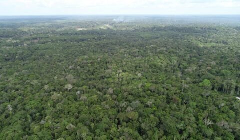 whatsapp-image-2025-07-03-at-11-57-02