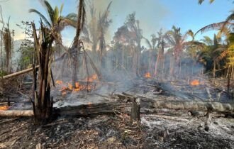 whatsapp-image-2025-07-14-at-10-15-44